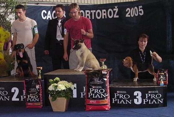 show